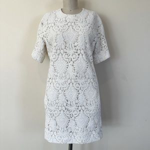Chloe Milk Lace Mini Mod Dress 36 Small